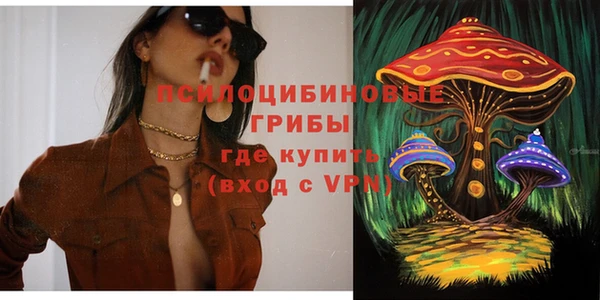 бошки Белоозёрский