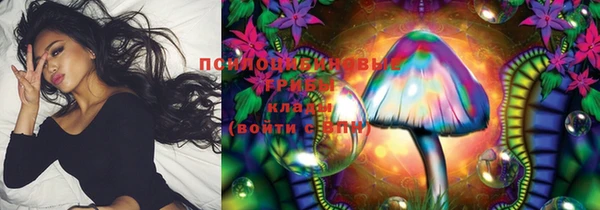 тгк Белокуриха